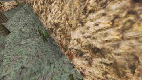 Unreal Tournament 99 First Person gameplay screenshot 4 of 10 - Map: CTF-BT+(SAFe)ForgottenRuinz-v2.unr - Demo: b88454c2-8917-4682-a06d-5c9f572e2048.dem - Gameplay match