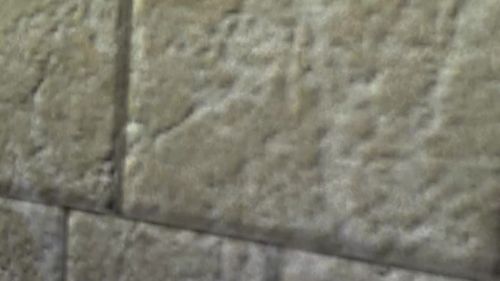 Unreal Tournament 99 First Person gameplay screenshot 7 of 10 - Map: CTF-BT-(SM)LandofAlomBL.unr - Demo: ef69b898-2340-4677-a8f0-c939bccca800.dem - Gameplay match