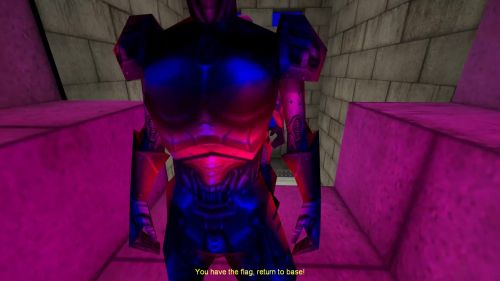 Unreal Tournament 99 First Person gameplay screenshot 9 of 9 - Map: CTF-BT-(bar)ForPawelAndZanmato.unr - Demo: af714227-1ddb-424f-bd27-5199b5b44ffc.dem - Gameplay match